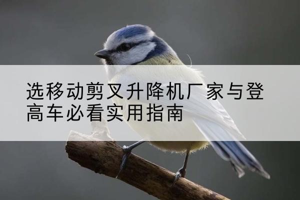 临湘电动升降机厂家-选移动剪叉升降机厂家与登高车必看实用指南