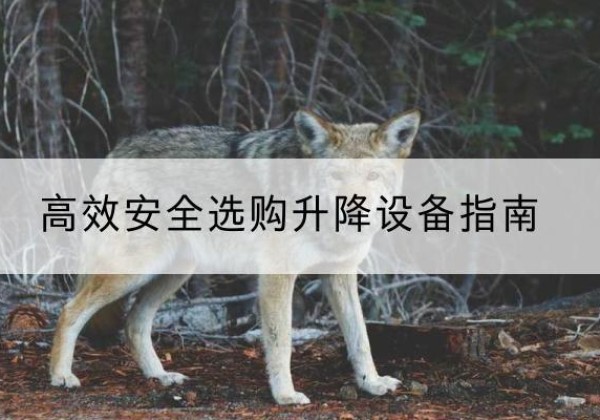 临湘升降货梯厂家推荐-*安全选购升降设备指南