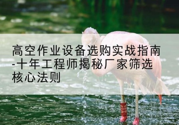 临湘剪叉式升降机厂家-高空作业设备选购实战指南-十年工程师揭秘厂家筛选核心法则